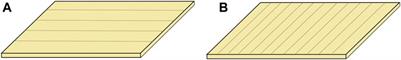 Comparison of Multilayer Transparent Wood and Single Layer Transparent Wood With the Same Thickness